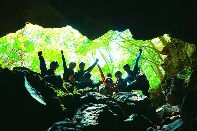 Explore Mt. Fuji Ice Cave in Aokigahara Forest - Walking through Aokigahara Forest