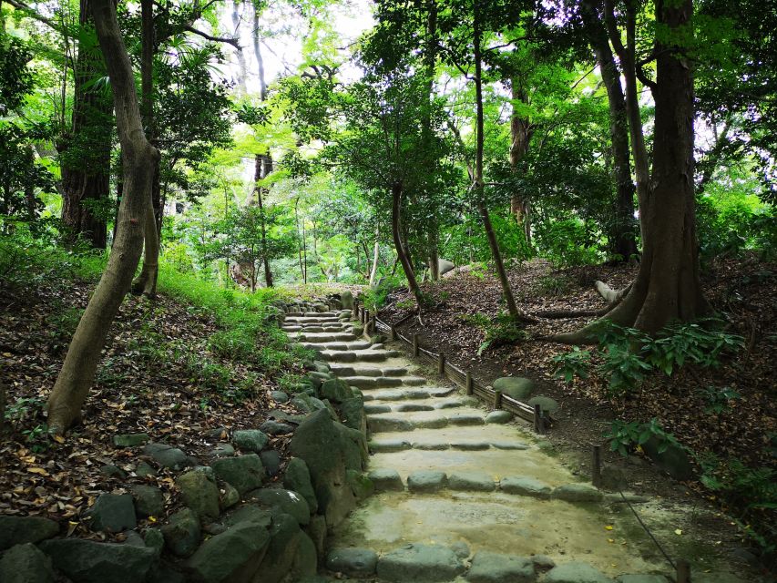 From Asakusa: Old Tokyo, Temples, Gardens and Pop Culture - Pace, comfort, and who should book