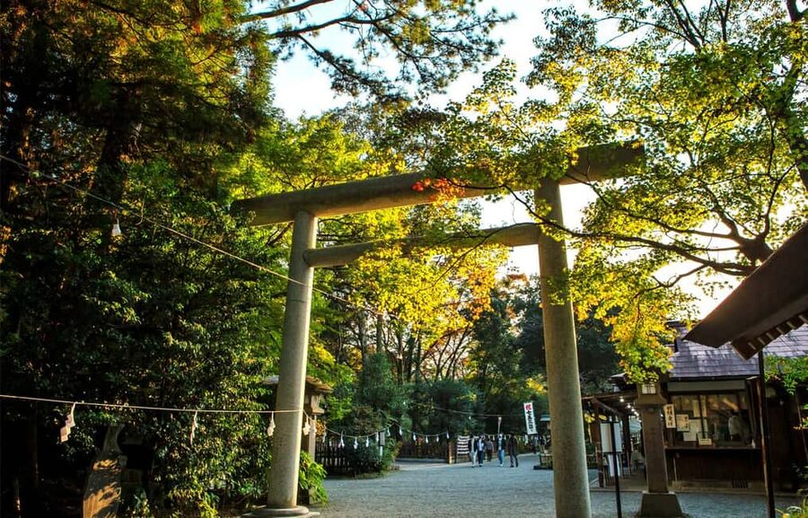 From Fukuoka: Miyazaki, Takachiho Gorge and Shrines Day Tour - Walking Takachiho Gorge in 80 minutes