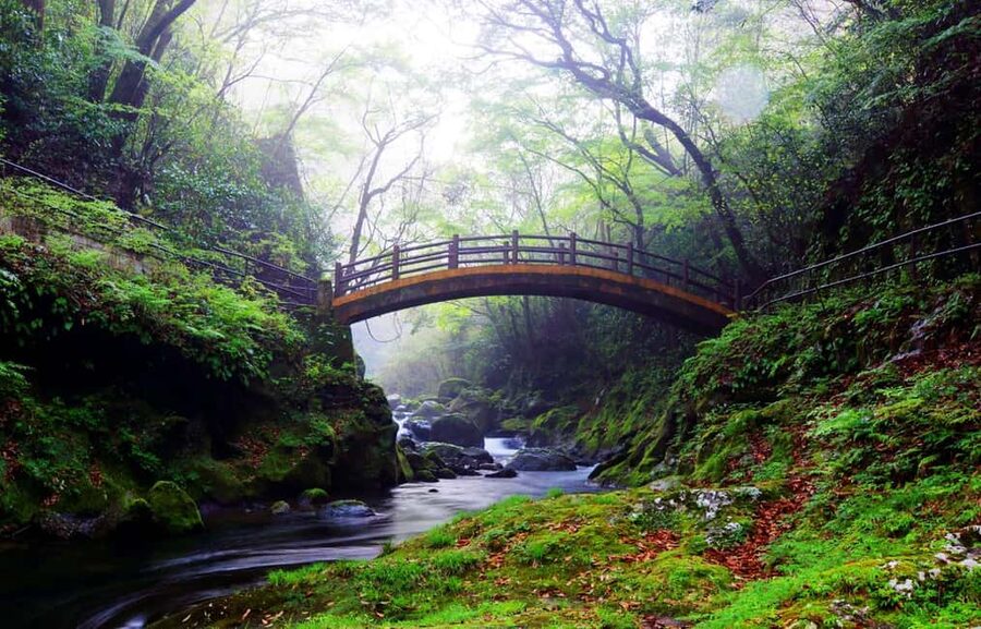 From Fukuoka: Miyazaki, Takachiho Gorge and Shrines Day Tour - Meeting at Hakata Station at 8:00 a.m.