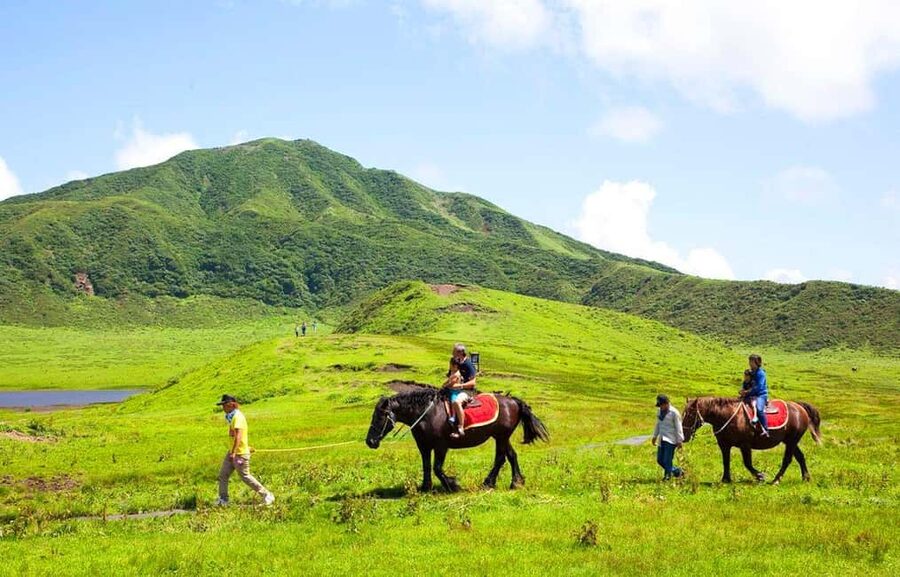 From Fukuoka: Mount Aso, Kurokawa Onsen, and Shrine Tour - Who will enjoy this Aso day trip