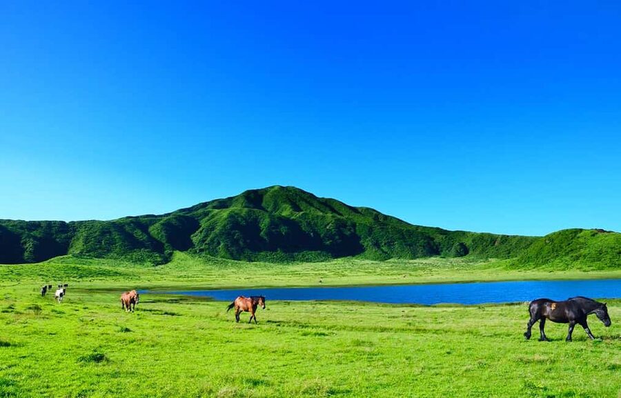 From Fukuoka: Mount Aso, Kurokawa Onsen, and Shrine Tour - Small details that will improve the day