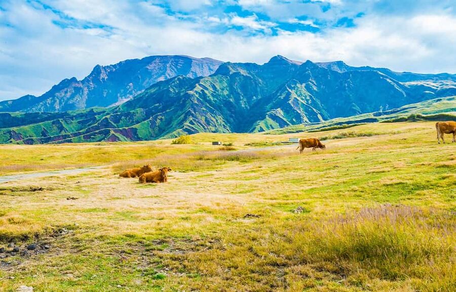 From Fukuoka: Mount Aso, Kurokawa Onsen, and Shrine Tour - Should you book this tour?