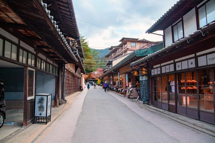 From Hiroshima: Miyajima Island Day Trip with Ropeway Ride - The Miyajima Ropeway and Mt. Misen views