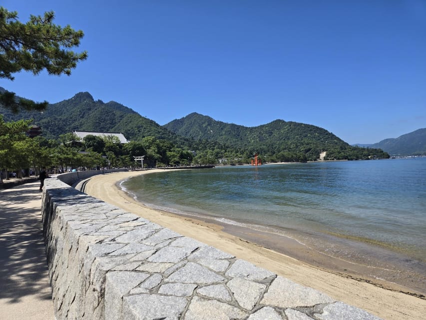 From Hiroshima: Miyajima Island Day Trip with Ropeway Ride - The guide and group size