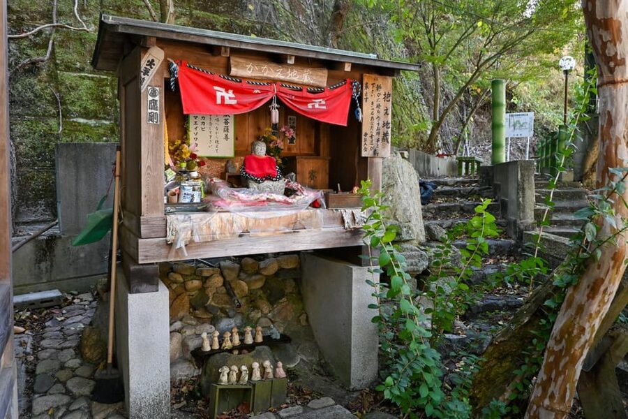 From Hiroshima: Rabbit Island and Takehara Town Tour - Who should book this experience?