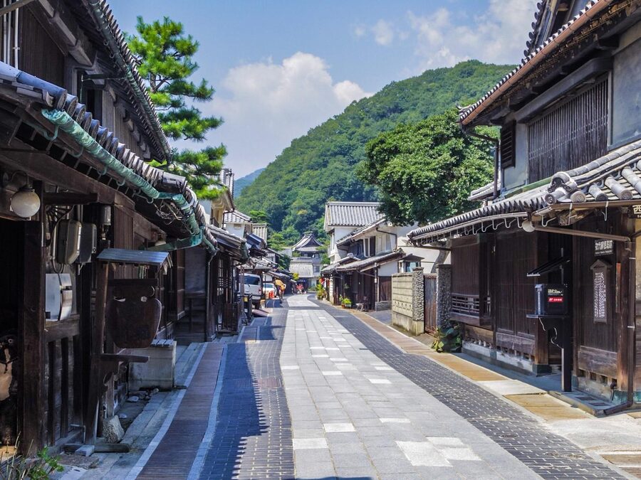 From Hiroshima: Rabbit Island and Takehara Town Tour - Meeting the rabbits with the right expectations