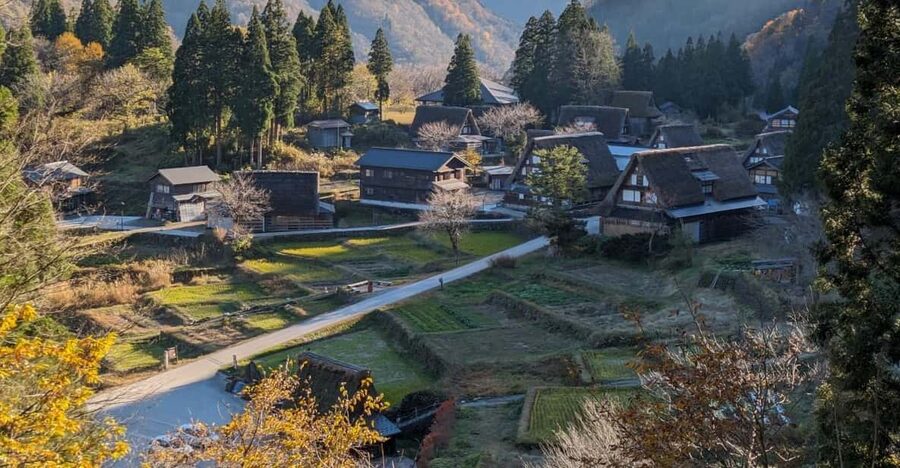 From Kanazawa: Shirakawa-go, Gokayama and Wood Carving Art - Key points at a glance