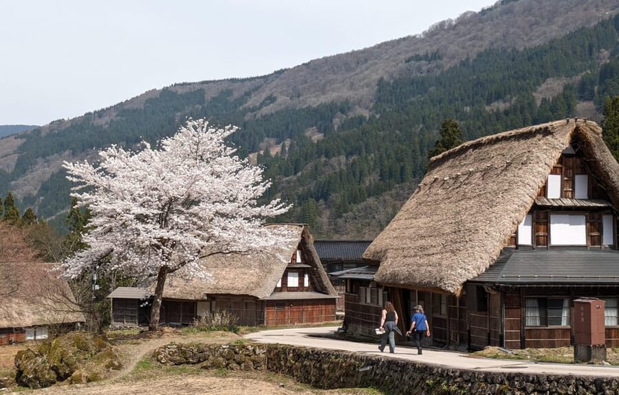 From Kanazawa: Shirakawa-go, Gokayama and Wood Carving Art - Shirakawa-go, the famous final stop