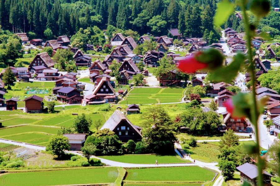 From Kanazawa: Shirakawago, Hida-Furukawa and Takayama Visit - Hida-Furukawa’s canals and koi