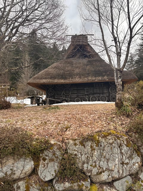 From Kanazawa/Toyama: Shirakawago and Takayama Day Tour - The guides and the value of local help
