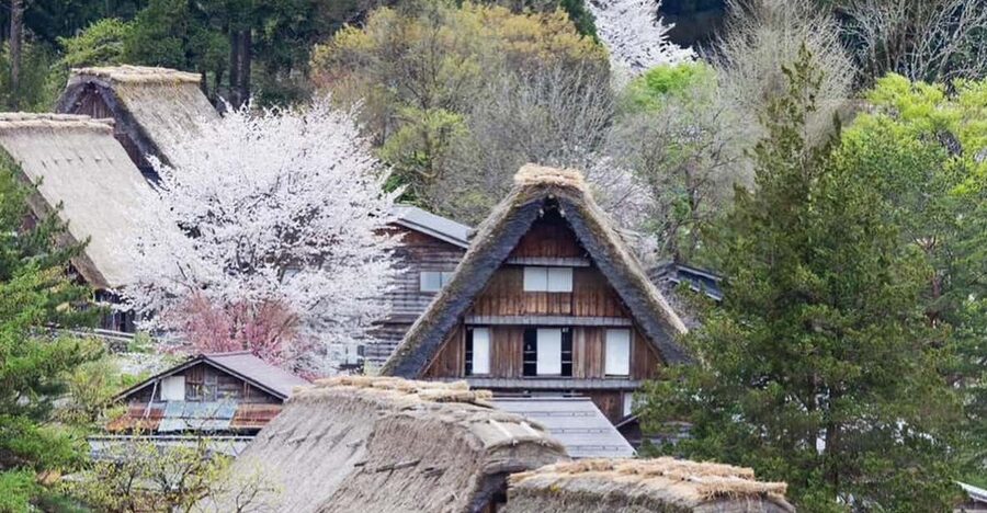 From Kanazawa/Toyama: Shirakawago and Takayama Day Tour - Booking details worth checking