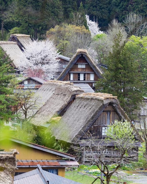 From Kanazawa/Toyama: Shirakawago and Takayama Day Tour - Shirakawa-go: thatched roofs and snowy mountain views