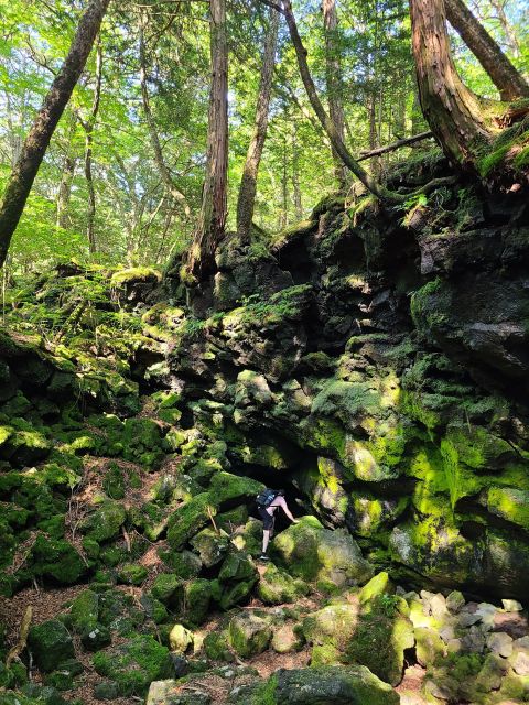 From Kawaguchiko: Mt. Fuji Private Tour with a Local Guide - Waterfalls, caves, and forest stops