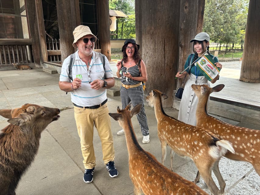 From Kyoto: Nara Guided Morning Tour - Key points at a glance