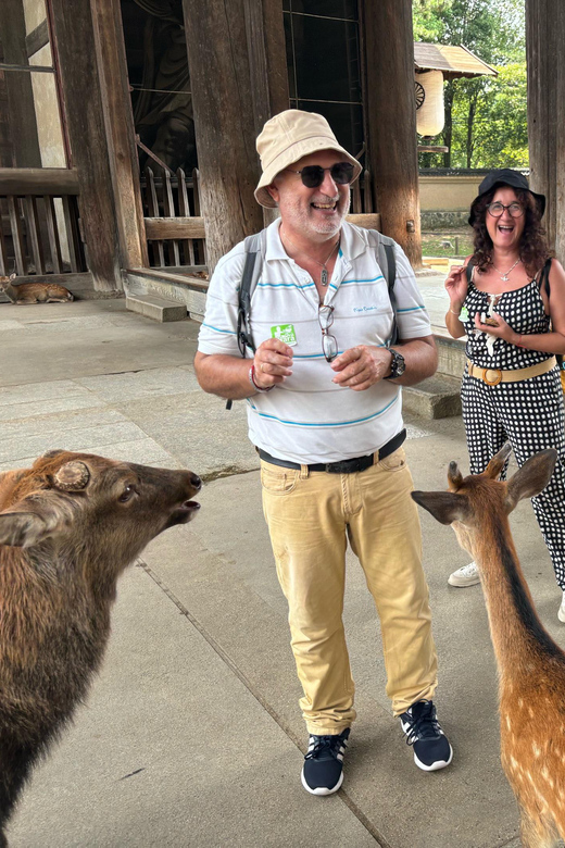 From Kyoto: Nara Guided Morning Tour - Why this short Nara trip works