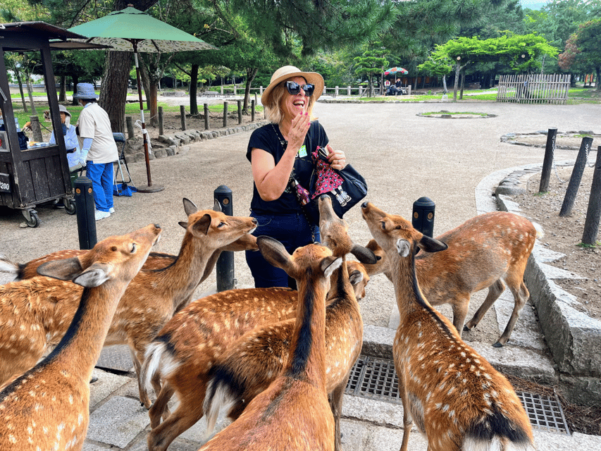 From Kyoto: Nara Guided Morning Tour - Kasuga Taisha and its long lantern approach