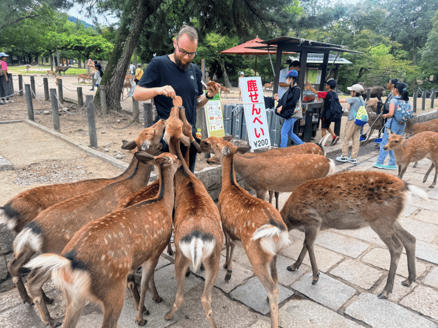 From Kyoto: Nara Guided Morning Tour - The guide can shape the morning