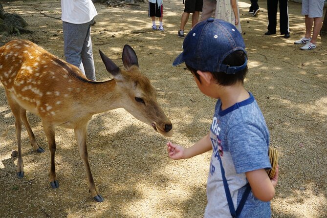 From Kyoto: Nara History Guided Half Day Bus Tour with Lunch - Kasuga Taisha: 45 minutes of shrine customs and atmosphere