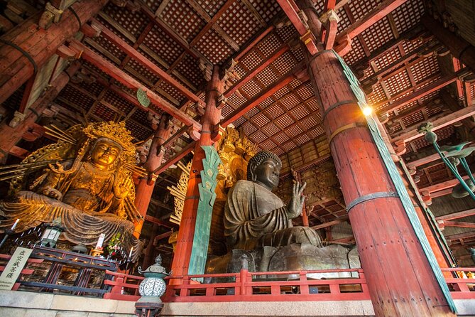 From Kyoto: Nara History Guided Half Day Bus Tour with Lunch - Meeting at Kyoto Station’s Hachijo Exit