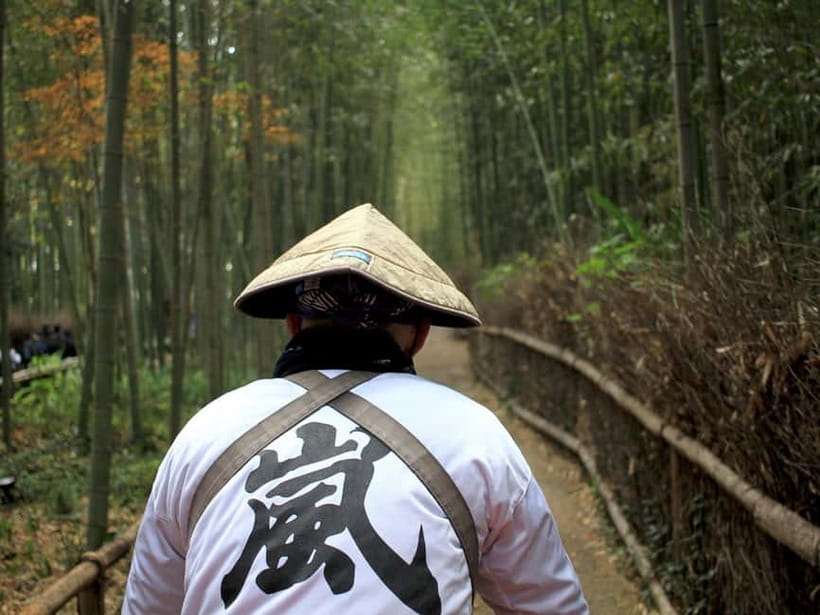 From Kyoto/Osaka: Kyoto Top Highlights 1-Day Guided Bus Tour - Kiyomizudera’s hillside stage and city views