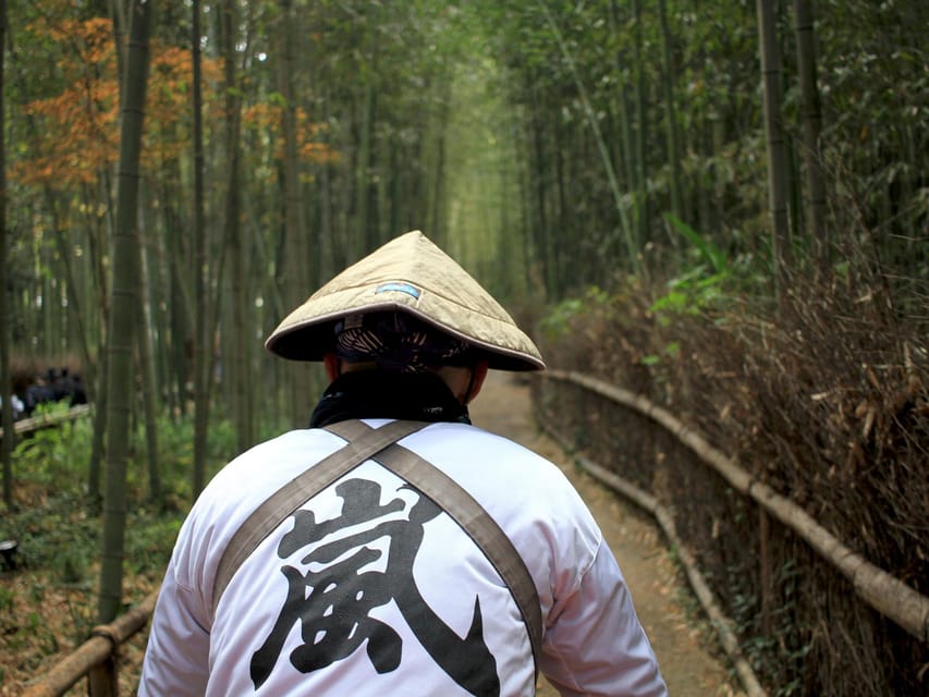 From Kyoto/Osaka: Kyoto Top Highlights 1-Day Guided Bus Tour - The guide can make or break a busy day