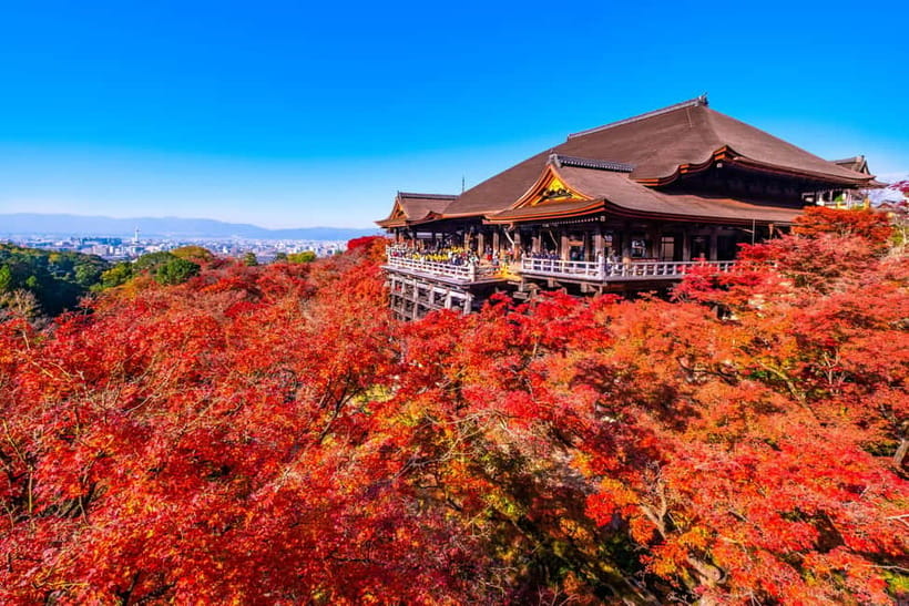 From Kyoto/Osaka: Kyoto Top Highlights 1-Day Guided Bus Tour - How crowded and physical is the day?