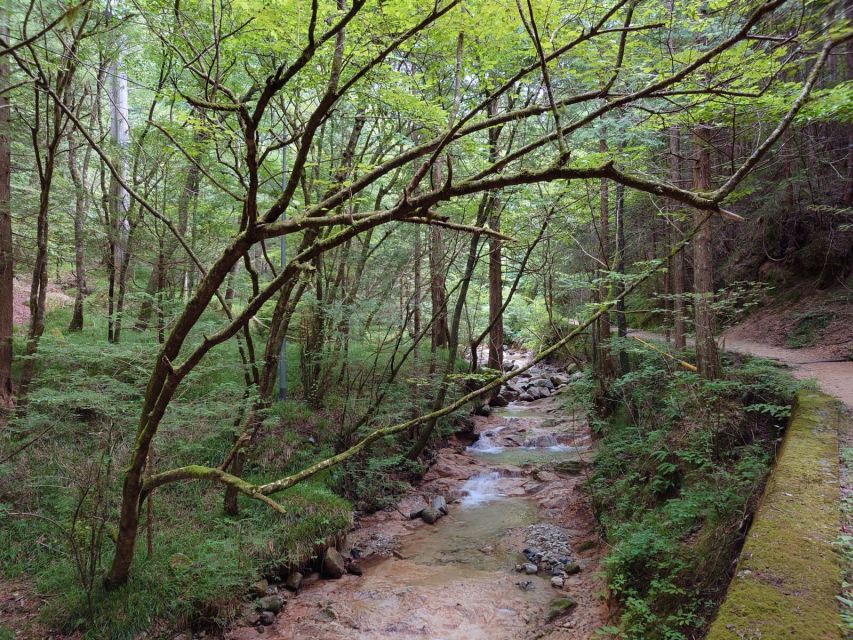 From Matsumoto/Nagano: Nakasendo Trail Walking Tour - The 8-km trail from Tsumago to Magome