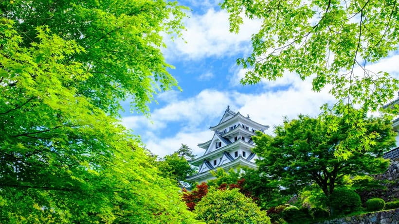 From Nagoya: Gujo, Hida Takayama, and Shirakawa-go Day Tour - Who should book this Nagoya day tour?
