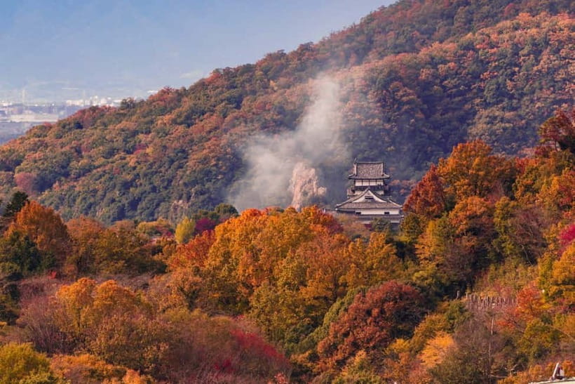 From Nagoya: Inuyama Castle, Ena Gorge, Magome, Tsumago Tour - Guide communication and the pace of the day