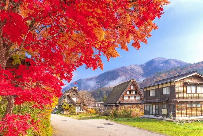 From Nagoya: Shirakawa-go & Hida-Takayama Full Day Trip - Key points before you book
