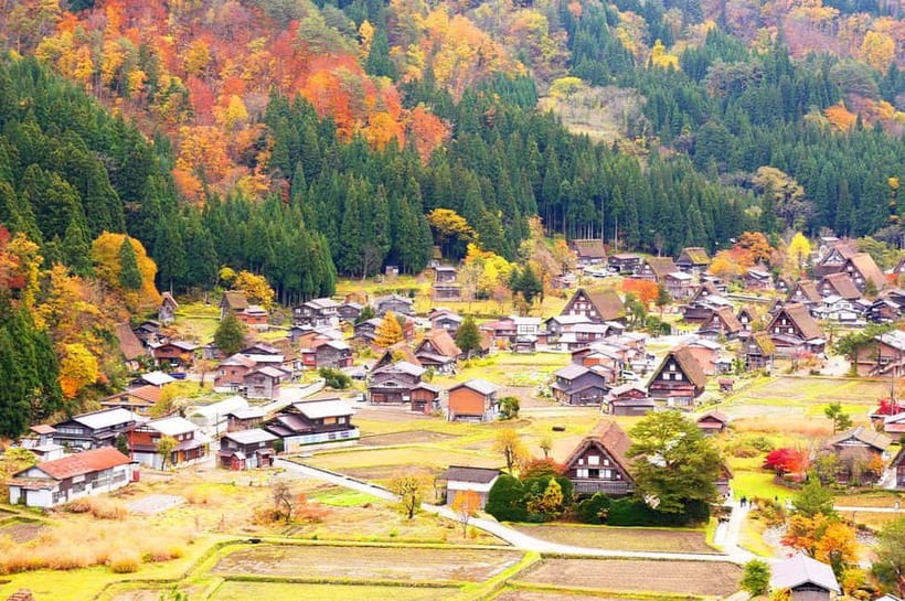 From Nagoya: Shirakawa-go & Hida-Takayama Full Day Trip - Who will enjoy this day most?