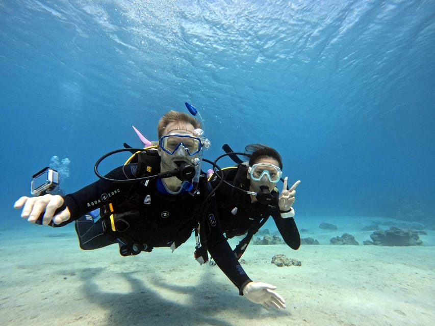 From Naha Scuba Diving Trip in Kerama(for certified divers) - What the small group changes
