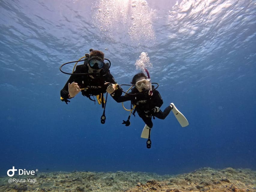 From Naha Scuba Diving Trip in Kerama(for certified divers) - Underwater photos add real value