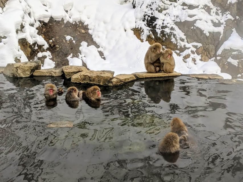 From Nozawa Onsen: Snow Monkeys and Zenko-ji Day Trip & Sake - Why this makes sense from Nozawa Onsen