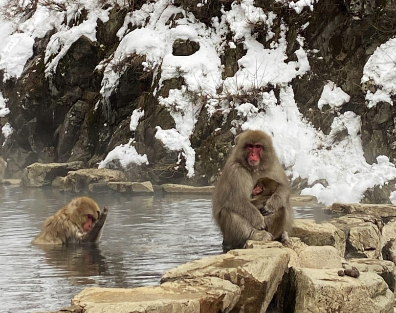 From Nozawa Onsen: Snow Monkeys and Zenko-ji Day Trip & Sake - Zenko-ji Temple in Nagano
