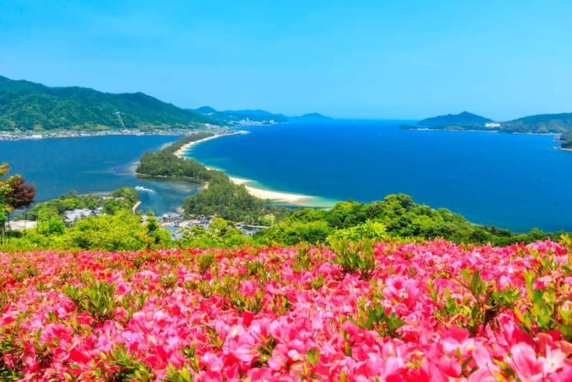 From Osaka: Amanohashidate and Ine Bay Day Trip - Booking advice for the $83 price
