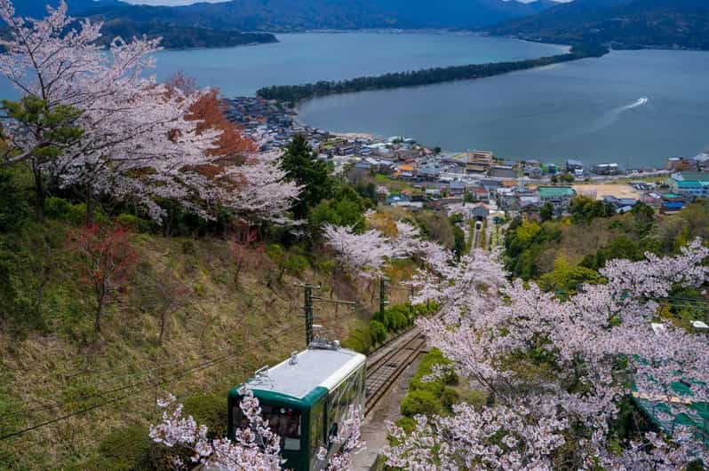 From Osaka: Amanohashidate and Ine Bay Day Trip - Lunch at Amanohashidate: choose convenience or flexibility