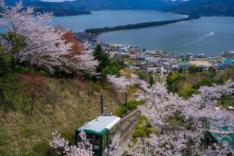 From Osaka: Amanohashidate and Ine Bay Day Trip - The long bus ride: the real price of the day