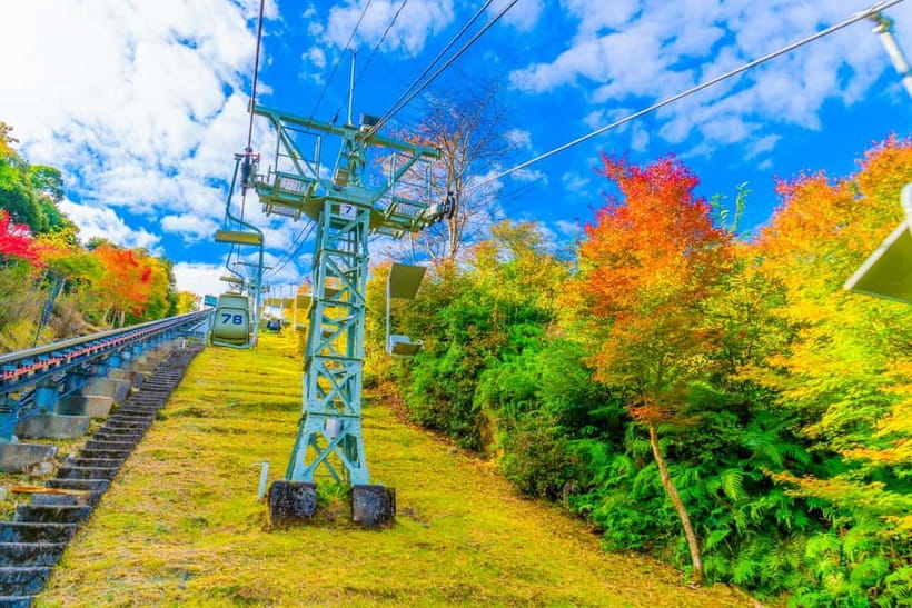From Osaka: Amanohashidate and Ine Bay Day Trip - Timing, weather, and the best season