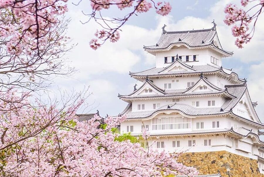 From Osaka: Himeji Castle, Arima Onsen & Mt. Rokko Day Tour - Key points at a glance