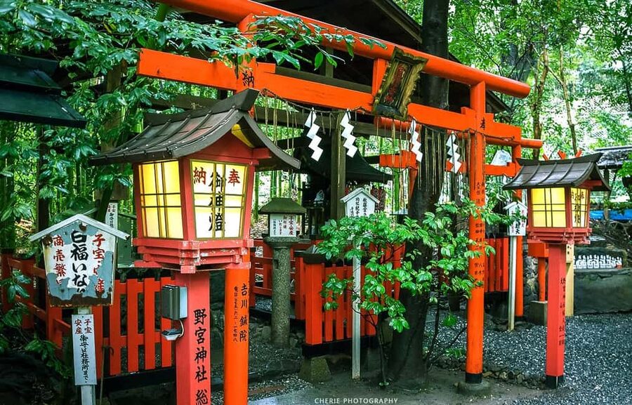 From Osaka: Kyoto, Nara, Fushimi Inari & Arashiyama Day Tour - Three famous sights without changing hotels