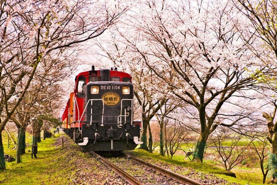 From Osaka: Kyoto, Nara, Fushimi Inari & Arashiyama Day Tour - Nara Park and the bowing deer