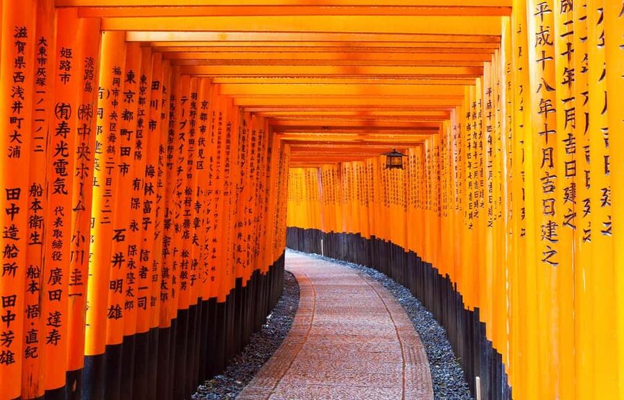 From Osaka: Kyoto, Nara, Fushimi Inari & Arashiyama Day Tour - What the long return to Osaka means