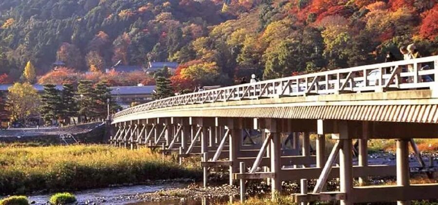 From Osaka: Kyoto, Nara, Fushimi Inari & Arashiyama Day Tour - Who will get the most from this day