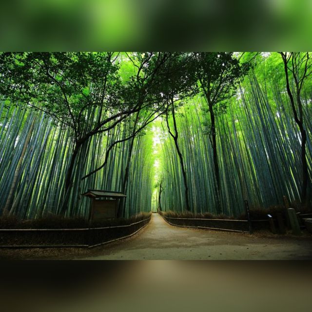 From Osaka/Kyoto: Private Kyoto & Nara Day Trip with Pickup - Key points to know before booking