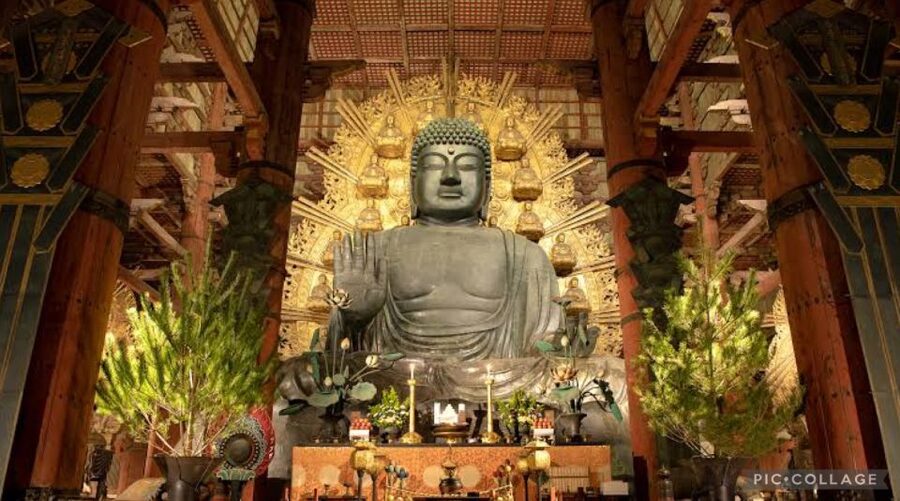 From Osaka/Kyoto: Private Kyoto & Nara Day Trip with Pickup - Walking, meals, tickets, and timing