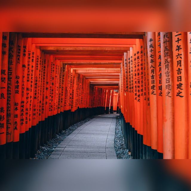 From Osaka/Kyoto: Private Kyoto & Nara Day Trip with Pickup - Nara Park and the deer encounter