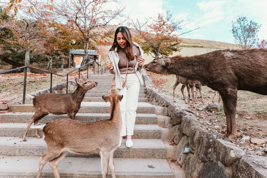 From Osaka: Nara, Kiyomizu-dera & Fushimi Inari Trip - Sannenzaka, wooden streets, and old Kyoto details