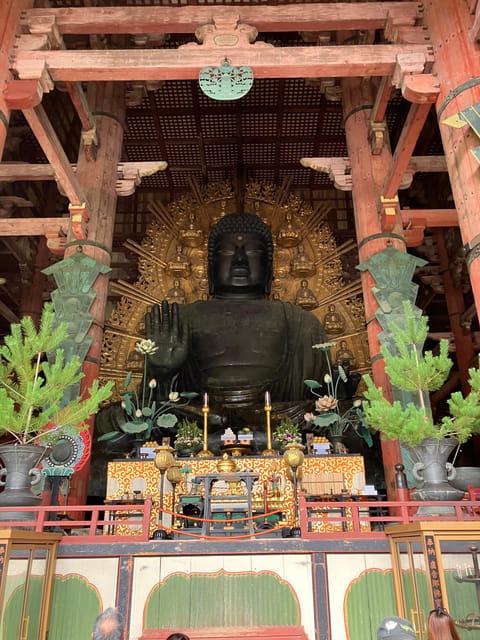From Osaka: Nara Private Tour with Meet-Up at Your Hotel - Why Nara makes a good break from Osaka